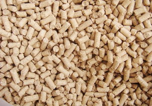 選擇玉米秸稈飼料顆粒機廠家不能忽略這幾個問題