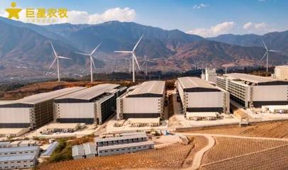 智匯農牧，悅見未來 巨星農牧德昌生豬繁育一體化項目開放日盛大啟幕